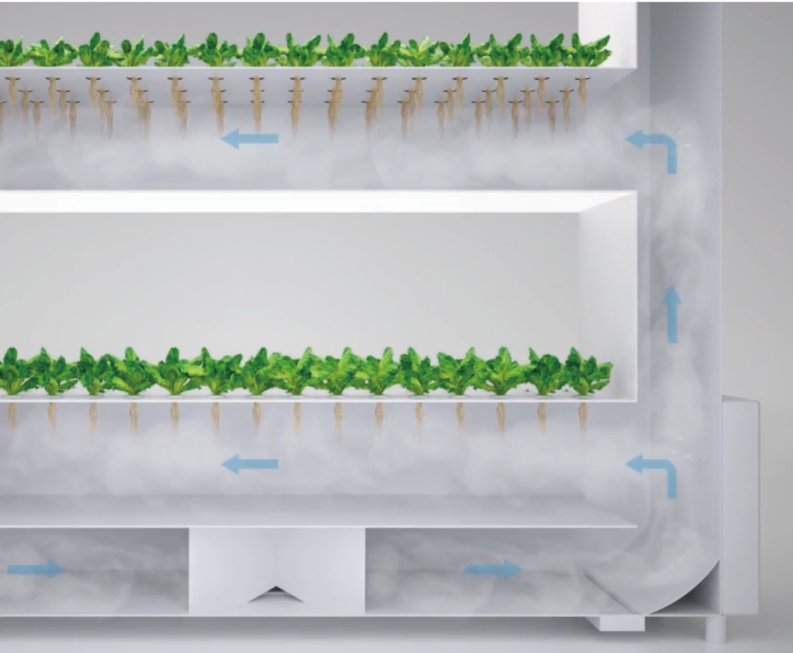 Floponics System 2