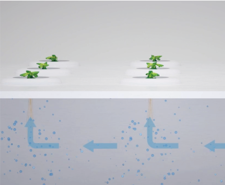 Floponics System 3